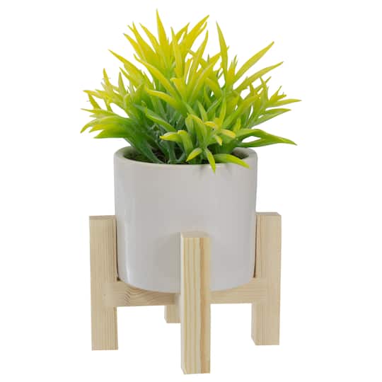 8" Potted Green Succulent with Wooden Stand By Northlight | Michaels®